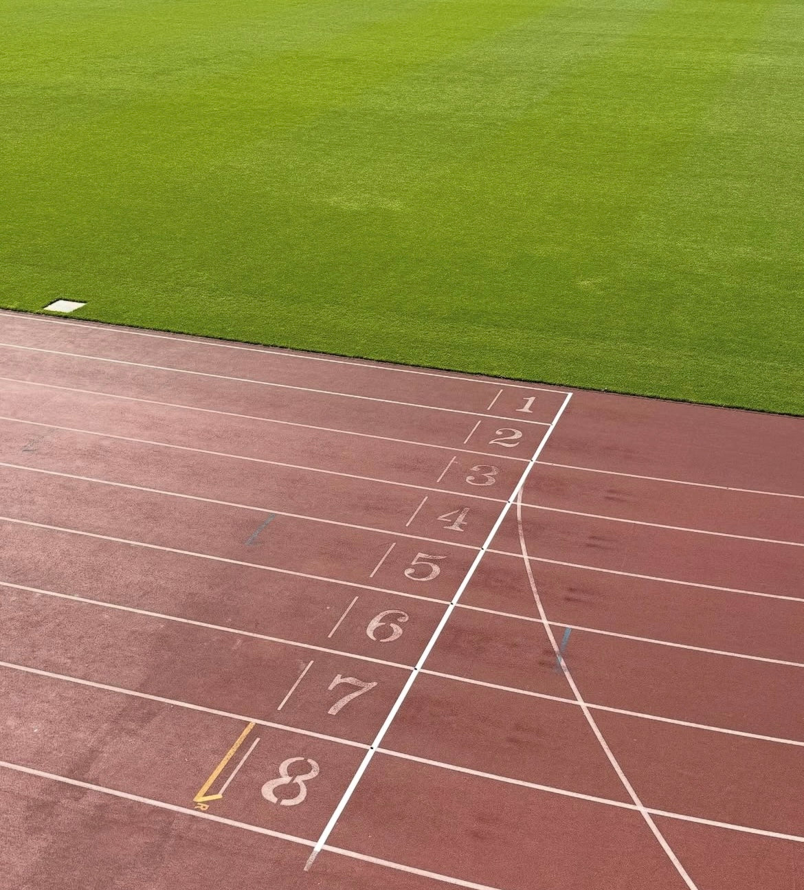 Sports Event & Team Packs -  The First Energy Restoration Bites for Athletes with REDs