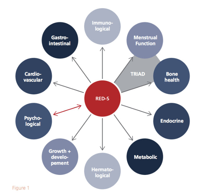 Diagram of the RED-S model with various health categories around a central red circle.